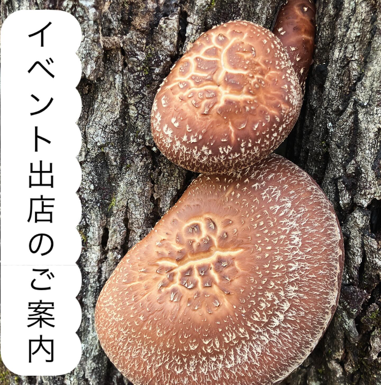 【IG】イベント出店のご案内です。@artisuns.garden Artisun's Garden2026/3/29sun11:00~17:00山本新池公園・あいあいパーク明後日になりました。お天気も良さそうです。お野菜も加工品ももりもりお持ちしますので、ぜひぜひおこしください@yasaiine 2026/4/4sunやさいいね!フェス2026/4/29 北摂発酵マルシェ @mitsukabose.official 5/20〜24 阪急うめだ本店地下2階 フードイベントプラザ @hankyu_h_food 以上になります。お待ちしております️#能勢#べじたぶるぱーく#イベント出店